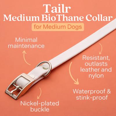 Show full view: Tailr Premium BioThane Dog Collar, White, Medium: 12 to 15-in neck, 5/8-in wide slide 2 of 9