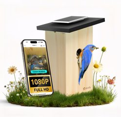 Birdfy Solar Powered Smart Bird House with Camera, Ebony
