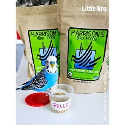Show full view: Harrison's Bird Foods Adult Lifetime Super Fine Organic Pellet Bird Food, 1-lb bag slide 9 of 10