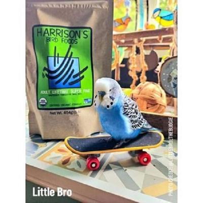 Show full view: Harrison's Bird Foods Adult Lifetime Super Fine Organic Pellet Bird Food, 1-lb bag slide 8 of 10