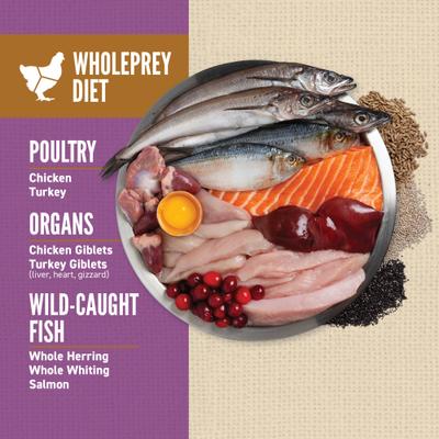 Show full view: ORIJEN Amazing Grains High-Protein Puppy Large Breed Dry Dog Food, 22.5-lb bag slide 6 of 12