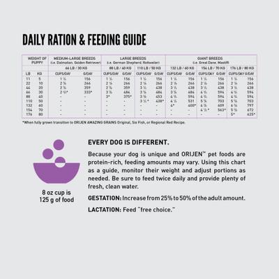 Show full view: ORIJEN Amazing Grains High-Protein Puppy Large Breed Dry Dog Food, 22.5-lb bag slide 10 of 12