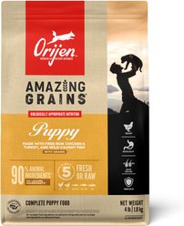 ORIJEN Amazing Grains High-Protein Puppy Dry Dog Food, 4-lb bag slide 1 of 9
