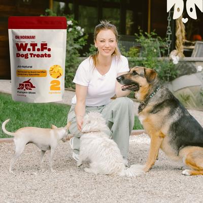 Show full view: OH NORMAN WTF Pumpkin Slices Dog Treats, 6-oz box slide 9 of 13