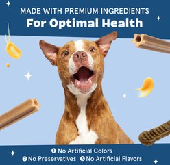 BARK Bright Durable Dental Kit: Large Mint Flavored Dental Dog Treats + Chicken & Thyme Flavored Dog Dental Gel, 15 count, 2.5-oz gel slide 2 of 7