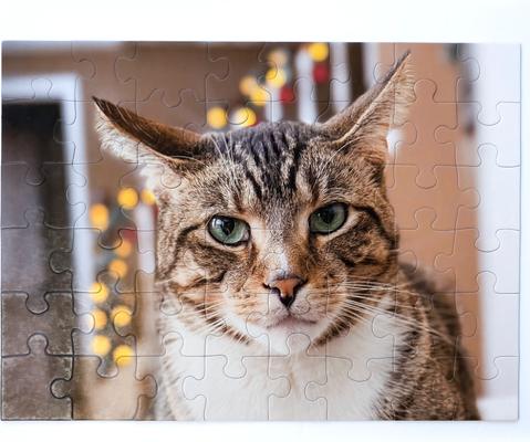 Show full view: Aether Puzzles Personalized 48 Piece Puzzle slide 3 of 6