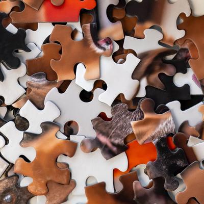 Show full view: Aether Puzzles Personalized 100 Piece Puzzle slide 4 of 6