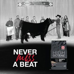 Purina Animal Nutrition High Octane Safety Net Supplement for Cattle, 25-lb bag slide 2 of 4