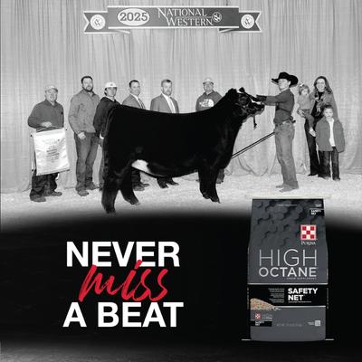 Show full view: Purina Animal Nutrition High Octane Safety Net Supplement for Cattle, 25-lb bag slide 4 of 4