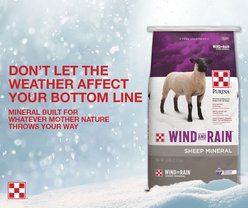 Purina Animal Nutrition Wind & Rain Sheep Mineral Feed, 25-lb bag slide 2 of 5