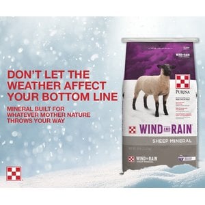 Purina Animal Nutrition Wind & Rain Sheep Mineral Feed, 25-lb bag