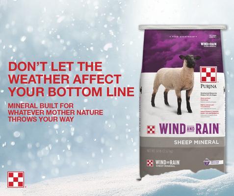 Show full view: Purina Animal Nutrition Wind & Rain Sheep Mineral Feed, 25-lb bag slide 4 of 5