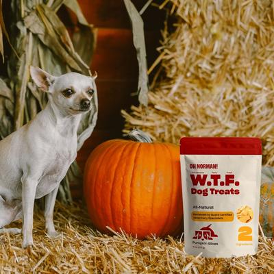 Show full view: OH NORMAN WTF Pumpkin Slices Dog Treats, 6-oz box slide 8 of 13
