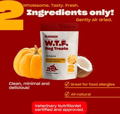 OH NORMAN WTF Pumpkin Slices Dog Treats, 6-oz box slide 2 of 9