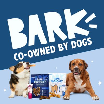 Show full view: BARK Bright Durable Dental Kit: Large Mint Flavored Dental Dog Treats + Chicken & Thyme Flavored Dog Dental Gel, 15 count, 2.5-oz gel slide 8 of 8