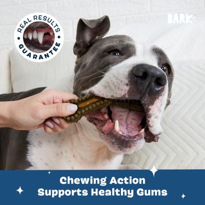 Show full view: BARK Bright Durable Dental Kit: Large Mint Flavored Dental Dog Treats + Chicken & Thyme Flavored Dog Dental Gel, 15 count, 2.5-oz gel slide 6 of 8