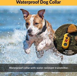 Educator By E-Collar Technologies Easy Educator 1/2 Mile Range Waterproof Dog Training Collar, 2 collars slide 2 of 6