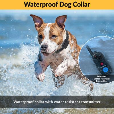 Show full view: Educator By E-Collar Technologies Educator 1/2 Mile Pro Advanced Waterproof Dog Training Collar, Black, 1 collar slide 5 of 8