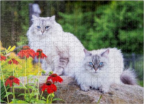 Show full view: Aether Puzzles Personalized 500 Piece Puzzle slide 3 of 7