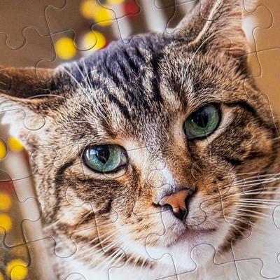 Show full view: Aether Puzzles Personalized 48 Piece Puzzle slide 5 of 6