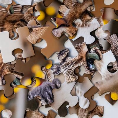 Show full view: Aether Puzzles Personalized 48 Piece Puzzle slide 4 of 6