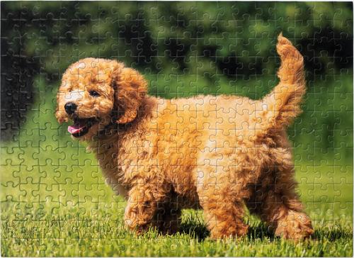 Show full view: Aether Puzzles Personalized 250 Piece Puzzle slide 3 of 6