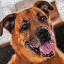 Aether Puzzles Personalized 100 Piece Puzzle slide 2 of 5