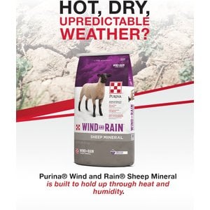 Purina Animal Nutrition Wind & Rain Sheep Mineral Feed, 25-lb bag