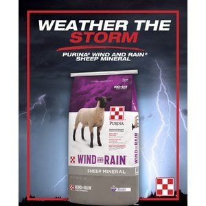 Purina Animal Nutrition Wind & Rain Sheep Mineral Feed, 25-lb bag
