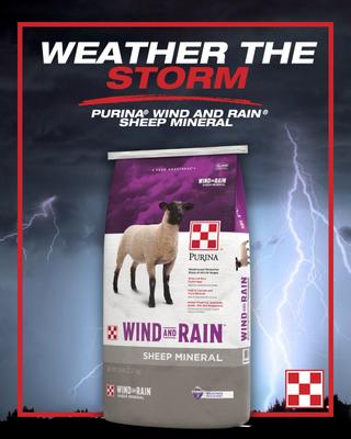 Show full view: Purina Animal Nutrition Wind & Rain Sheep Mineral Feed, 25-lb bag slide 3 of 5