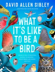 What It's Like to Be a Bird Adapted for Young Readers slide 1 of 5
