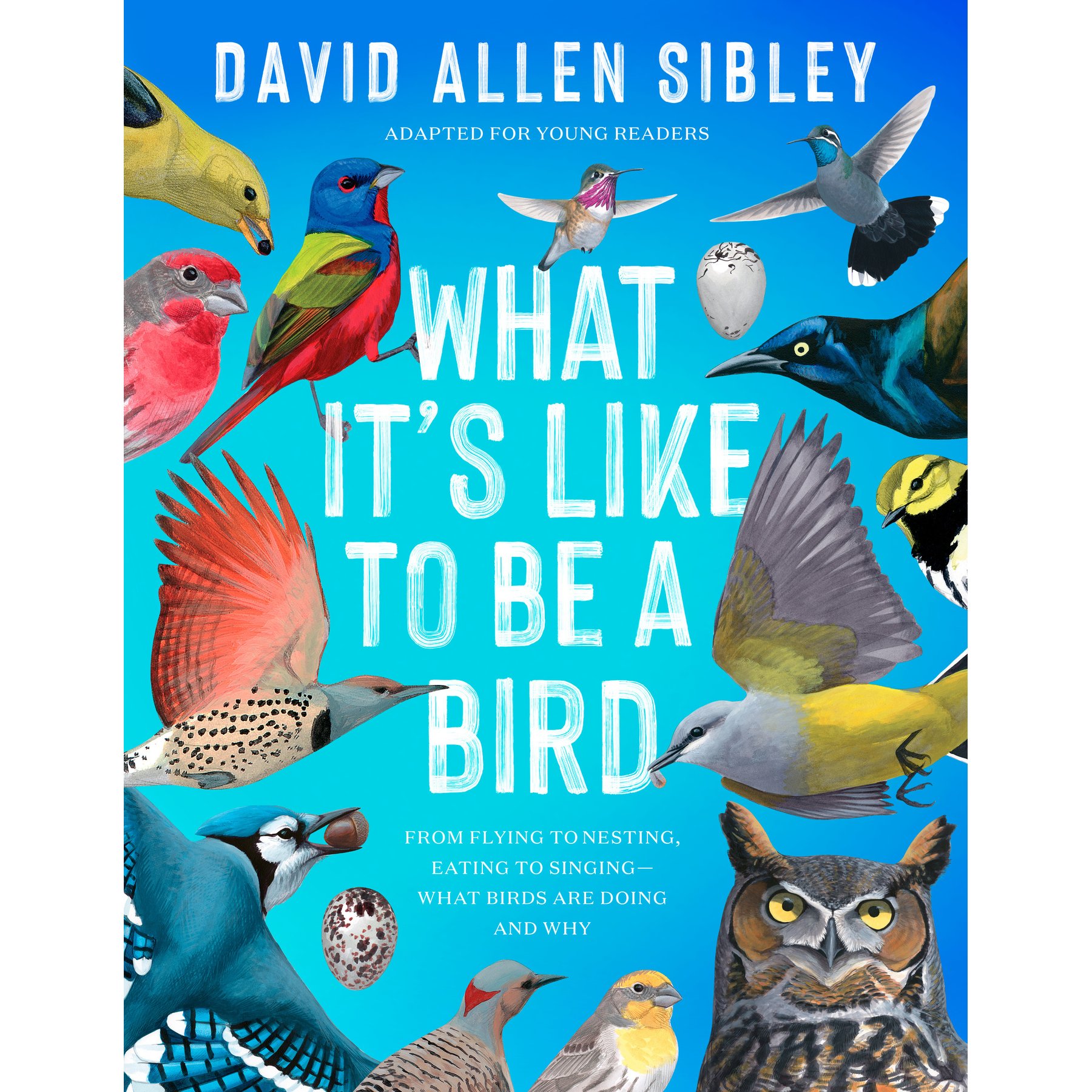What It's Like to Be a Bird Adapted for Young Readers