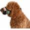 Show in main carousel: Labra Dog Soft Training Muzzle, Blue Multicolor, Medium slide 4 of 6