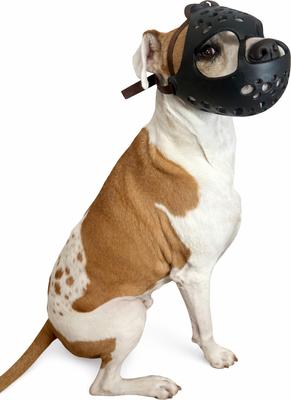 Show full view: Labra Short Snout Flexible Silicone Dog Muzzle, Black, Large slide 3 of 4