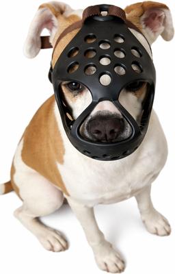 Show full view: Labra Short Snout Flexible Silicone Dog Muzzle, Black, Large slide 4 of 4