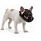 Show in main carousel: Labra Short Snout Flexible Silicone Dog Muzzle, Black, Small slide 1 of 5