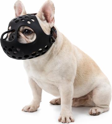 Show full view: Labra Short Snout Flexible Silicone Dog Muzzle, Black, Small slide 5 of 5