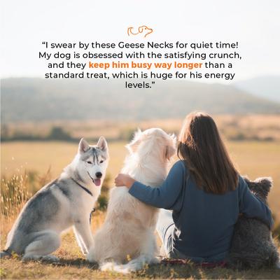 Show full view: Dog Nip Geese Whole Geese Necks Natural Dog Chew Treats, 5 count slide 6 of 8