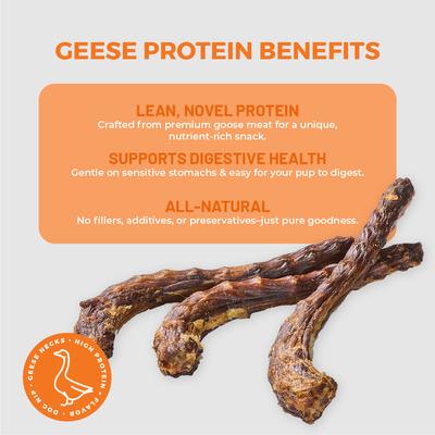 Show full view: Dog Nip Geese Whole Geese Necks Natural Dog Chew Treats, 5 count slide 5 of 8