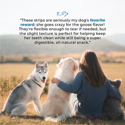 Show full view: Dog Nip Geese Meat Strips High Protein Dehydrated Dog Treats, 10 count slide 6 of 8