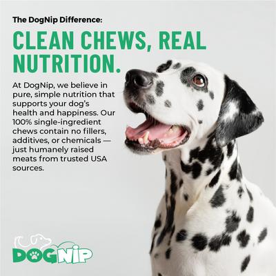 Show full view: Dog Nip Geese Premium Geese Cubes High Protein Dehydrated Dog Treats, 5.29-oz pouch slide 7 of 8