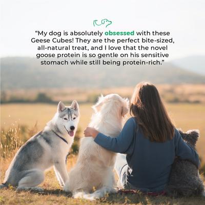 Show full view: Dog Nip Geese Premium Geese Cubes High Protein Dehydrated Dog Treats, 5.29-oz pouch slide 6 of 8