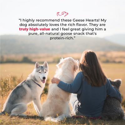 Show full view: Dog Nip Whole Geese Hearts High Protein Dehydrated Dog Treats, 3.52-oz pouch slide 6 of 8