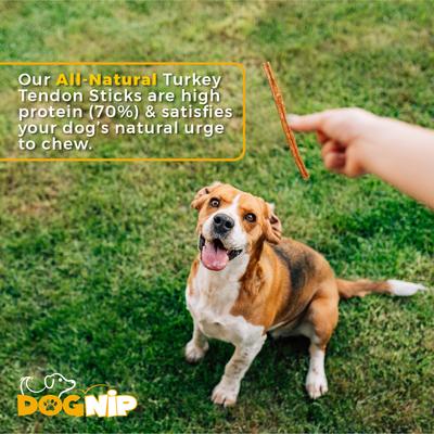 Show full view: Dog Nip Gobble Turkey Tendon Sticks High Protein Dehydrated Dog Treats, 6-oz pouch slide 5 of 7