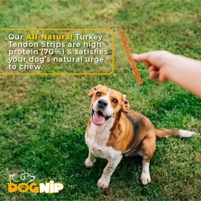 Show full view: Dog Nip Gobble Turkey Tendon Strips High Protein Dehydrated Dog Treats, 6-oz pouch slide 5 of 6