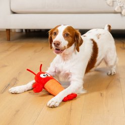 Outward Hound Lobster Coated Critterz Squeaky Fetch Plush Dog Toy, Red, Medium: 10.4-in slide 2 of 5
