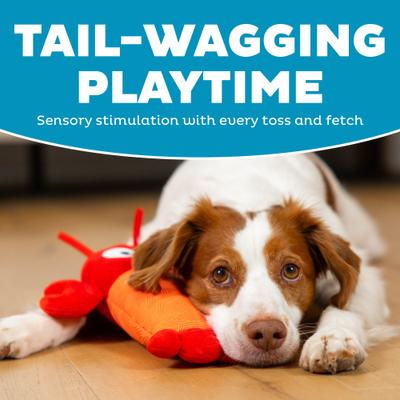 Show full view: Outward Hound Lobster Coated Critterz Squeaky Fetch Plush Dog Toy, Red, Medium: 10.4-in slide 3 of 5