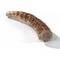 Show in main carousel: Buck Bone Organics Whole Elk Antler Dog Chews, 4.5 - 5 in slide 3 of 7