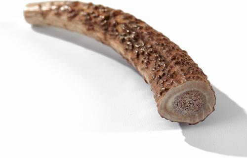 Show full view: Buck Bone Organics Whole Elk Antler Dog Chews, 4.5 - 5 in slide 3 of 7