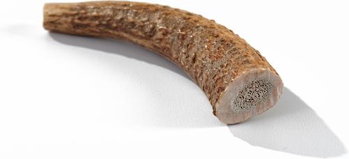 Show full view: Buck Bone Organics Whole Elk Antler Dog Chews, 4-in slide 3 of 9